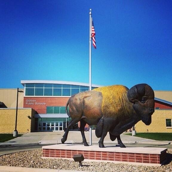 Buffalo